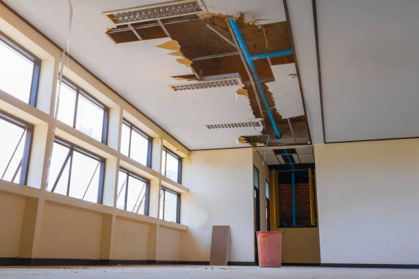 Best Professional water damage repair  in Alto, GA