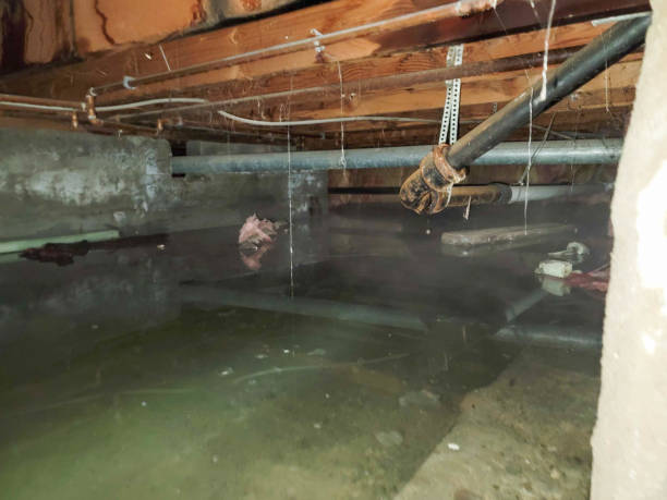 Best Residential water damage restoration  in Alto, GA