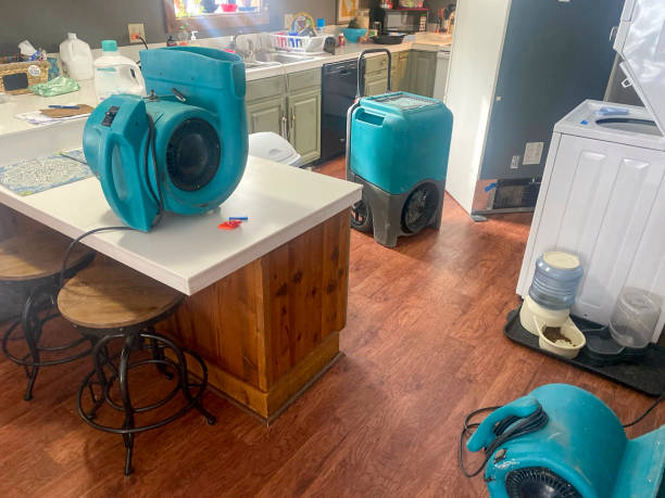 Best Ceiling water damage repair  in Alto, GA