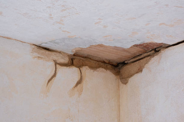 Best 24-hour water damage restoration  in Alto, GA