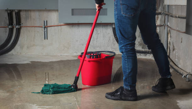 Best Fire Damage Restoration  in Alto, GA
