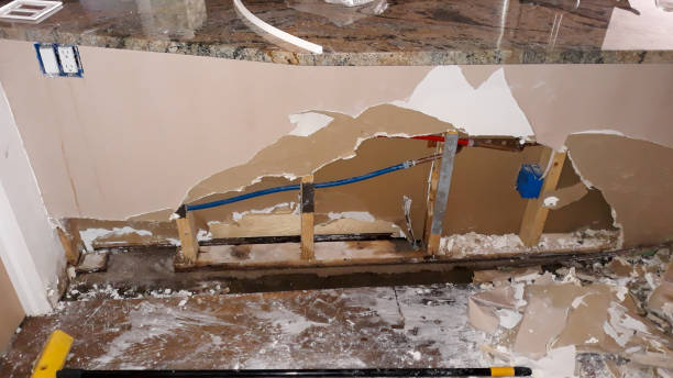 Trusted Alto, GA Water damage restoration Experts