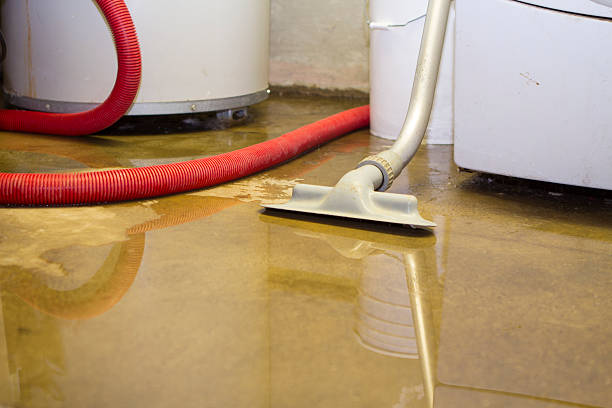 Best Professional water damage repair  in Alto, GA