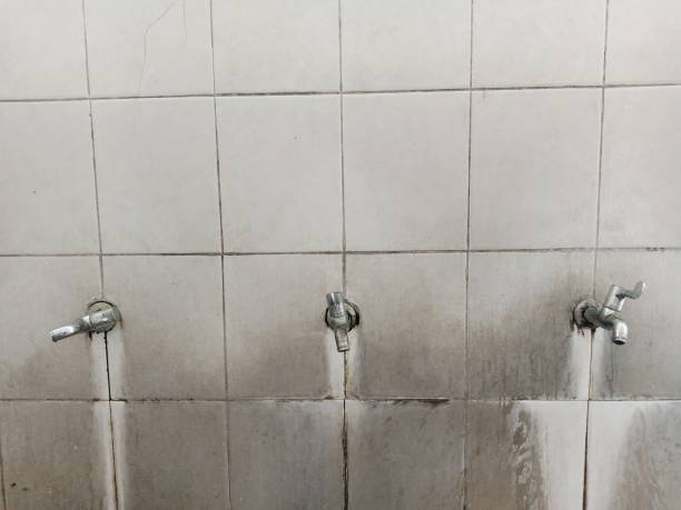 Best Commercial water damage restoration  in Alto, GA