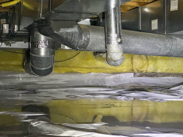Best Water damage restoration insurance claims  in Alto, GA