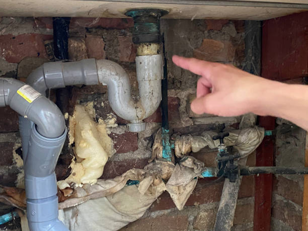 Best Emergency water damage restoration  in Alto, GA