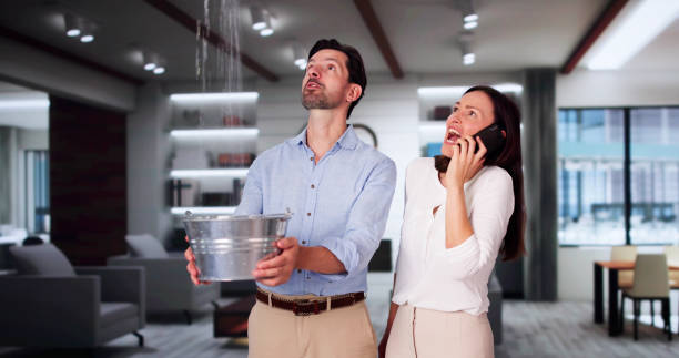 Best Mold removal after water damage  in Alto, GA