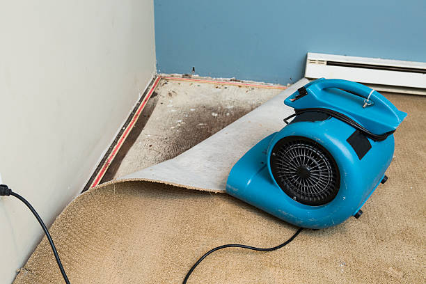 Water damage restoration experts in Alto, GA
